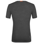 Muška majica Salewa Zebru Fresh Amr M T-Shirt.