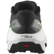 Ženske cipele Salomon Ultra Flow 2 W