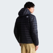 Muška jakna The North Face M Classic Down Hooded Jacket