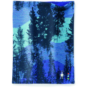 Višenamjenski šal Smartwool Merino 250 Reversible Pattern crna/plava DeepNavyForestScape