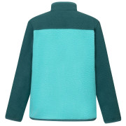Dječja funkcionalna dukserica Regatta Junior Frankie Warm Fleece Mediterranea/Turquoise