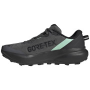 Ženske tenisice za trčanje Adidas Terrex Tracefinder Plus Gtx