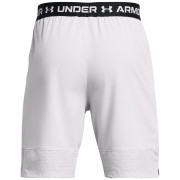 Muške kratke hlače Under Armour Vanish Woven Shorts