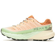 Ženske tenisice za trčanje Merrell Agility Peak 5