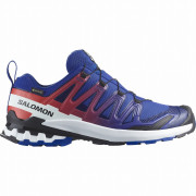Muška obuća Salomon Xa Pro 3D V9 Gore-Tex Equipe