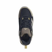 Dječja obuća Adidas Terrex Anylander Mid J Blue