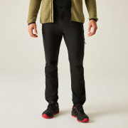Muške hlače Dare 2b Mens Peak Trouser