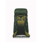 Dječji ruksak Osprey Ace 38