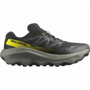 Muška obuća Salomon Ultra Flow 2 Gore-Tex