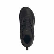 Dječja obuća Adidas Terrex Anylander Mid Climaproof J Black