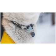 Ogrlica za psa Ruffwear Knot-a-Collar™