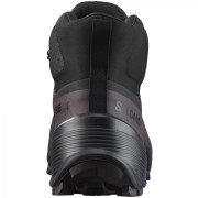 Ženske planinarske cipele Salomon Cross Hike 2 Mid Gore-Tex