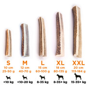 Igračka za psa Explorer Dog Antler Chew easy