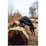 Zdjelica za psa Mountain Paws Collapsible Dog Food Bowl