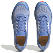 Muške tenisice za trčanje Adidas Terrex Agravic Flow 2