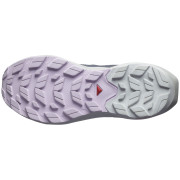 Ženske planinske cipele Salomon Elixir Activ Gore-Tex