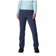 Ženske zimske hlače Columbia Back Beauty Passo Alto™ II Heat Pant tamno plava