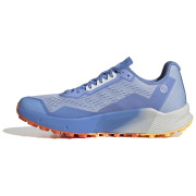 Muške tenisice za trčanje Adidas Terrex Agravic Flow 2