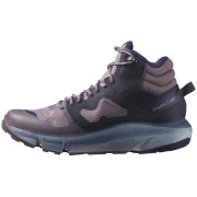 Ženske planinarske cipele Salomon Predict Hike Mid Gore-Tex