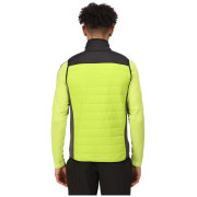 Muški prsluk Regatta Halton BW VI