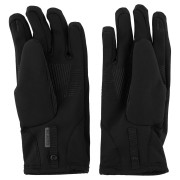 Planinarske rukavice Dare 2b Endurance Pro Softshell Gloves