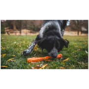 Igračka za psa Ruffwear Gnawt-a-Stick™ Toy