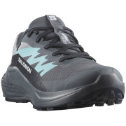 Ženske cipele Salomon Alphaglide Gore-Tex