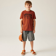 Dječja majica Dare 2b Trailbazer III Tee Arabian Spice