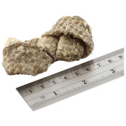 Poslastice za pse Fish4Dogs Dental Sea Jerky Fish Knots 100g