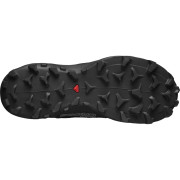 Ženske cipele Salomon Wildcross Gtx