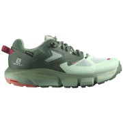 Ženske planinarske cipele Salomon Predict Hike Gtx W zelena
