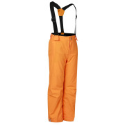 Dječje skijaške hlače Dare 2b Outmove III Insulated Pant ElectricOrng