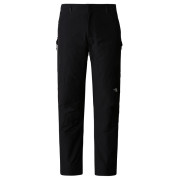 Muške hlače The North Face M Winter Exploration Reg Tapered Cargo - crna Tnf Black-Npf