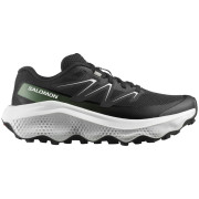 Ženske cipele Salomon Ultra Flow 2 W crna Black / White / Agave Green
