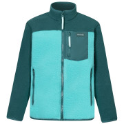 Dječja funkcionalna dukserica Regatta Junior Frankie Warm Fleece Mediterranea/Turquoise grašak zelena/tamno zelena Mediterranea/Turquoise