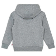 Dječja dukserica Lego Wear Lwsky 600 Grey
