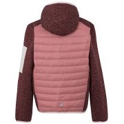 Dječja jakna Regatta Junior Newhill Hybrid