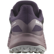 Ženske tenisice za trčanje Salomon Ultra Flow GTX