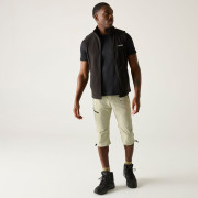 Muške 3/4 hlače Regatta Xert Stretch Capri