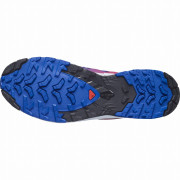 Muška obuća Salomon Xa Pro 3D V9 Gore-Tex Equipe