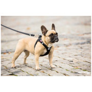 Povodac za psa Curli Adjustable Leash Nylon