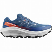 Muška obuća Salomon Ultra Flow 2 Gore-Tex