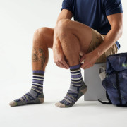 Čarape Smartwool Hike Light Cushion Panorama Crew Socks