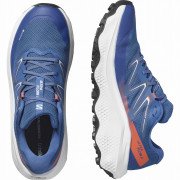 Muška obuća Salomon Ultra Flow 2 Gore-Tex