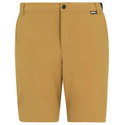 Muške kratke hlače Regatta Anti-Insect Travel Light Shorts smeđa Wood Brown