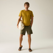 Muška majica Regatta Finlo