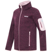 Dječja dukserica Regatta Junior Newhill Fig Powder Lilac