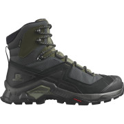 Muške cipele Salomon Quest Element Gore-Tex