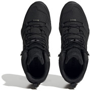 Muške cipele za planinarenje Adidas Terrex Swift R2 Mid Gtx