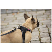 Povodac za psa Curli Adjustable Leash Nylon